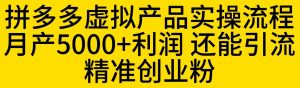 拼多多虚拟产品实操流程，月产5000+利润，还能引流精准创业粉【揭秘】-沐风资源库