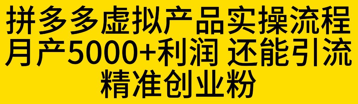 拼多多虚拟产品实操流程，月产5000+利润，还能引流精准创业粉【揭秘】-沐风资源库