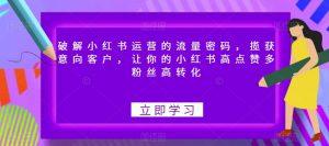 破解小红书运营的流量密码，揽获意向客户，让你的小红书高点赞多粉丝高转化-沐风资源库
