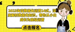 2023淘宝数据化运营14式，深度解析数据化知识，帮你从小白成长为高级运营-沐风资源库