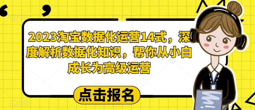 2023淘宝数据化运营14式，深度解析数据化知识，帮你从小白成长为高级运营-沐风资源库