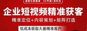 流量为王，企业短视频精准获客，手把手分享实战经验，助力企业低成本获客-沐风资源库