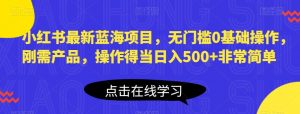 小红书最新蓝海项目，无门槛0基础操作，刚需产品，操作得当日入500+非常简单【揭秘】-沐风资源库