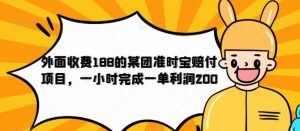 外面收费188的美团准时宝赔付项目，一小时完成一单利润200【仅揭秘】-沐风资源库