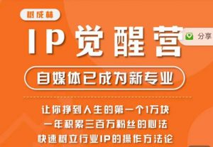 树成林·IP觉醒营，快速树立行业IP的操作方法论，让你赚到人生的第一个1万块（更新）-沐风资源库
