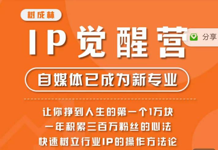 树成林·IP觉醒营，快速树立行业IP的操作方法论，让你赚到人生的第一个1万块（更新）-沐风资源库