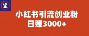 宝哥小红书引流创业粉，日赚3000+【揭秘】-沐风资源库