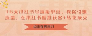 16天小红书导流接单营，教你引爆流量，在小红书精准获客+转化成交-沐风资源库