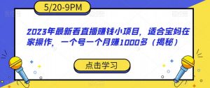 2023年最新看直播赚钱小项目，适合宝妈在家操作，一个号一个月赚1000多（揭秘）-沐风资源库