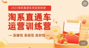冠东·2023淘系直通车高级系统课，​实操性，系统性，实时性，直通车完整体系教学-沐风资源库