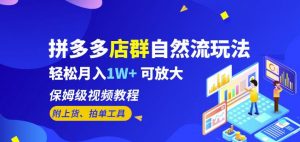拼多多店群自然流玩法，轻松月入1W+保姆级视频教程（附上货、拍单工具）-沐风资源库