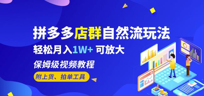 拼多多店群自然流玩法，轻松月入1W+保姆级视频教程（附上货、拍单工具）-沐风资源库