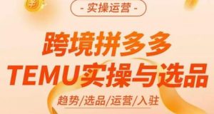 伍跃·跨境拼多多TEMU实操与选品，​趋势/选品/运营/入住（27节完整）-沐风资源库