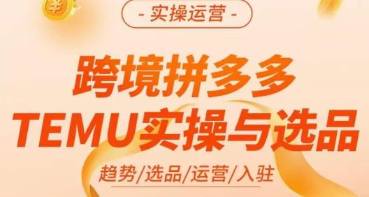伍跃·跨境拼多多TEMU实操与选品，​趋势/选品/运营/入住（27节完整）-沐风资源库