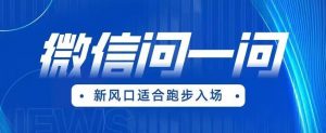全网首发微信问一问新风口变现项目（价值1999元）【揭秘】-沐风资源库