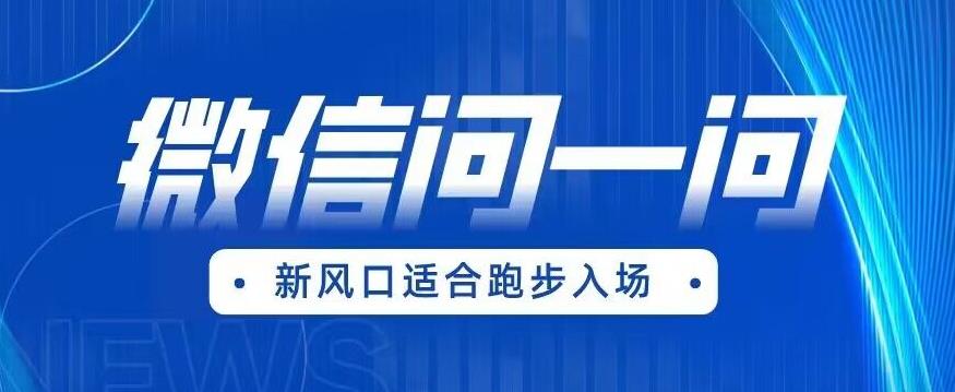 全网首发微信问一问新风口变现项目（价值1999元）【揭秘】-沐风资源库