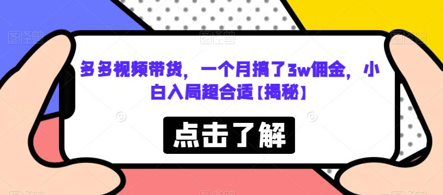 多多视频带货，一个月搞了3w佣金，小白入局超合适【揭秘】-沐风资源库