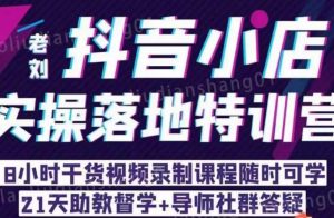 老刘·抖店商品卡流量，​抖音小店实操落地特训营，8小时干货视频录制课程随时可学-沐风资源库