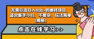 无需引流日入300+的搬砖项目，适合新手小白，不复杂、玩法简单【揭秘】-沐风资源库