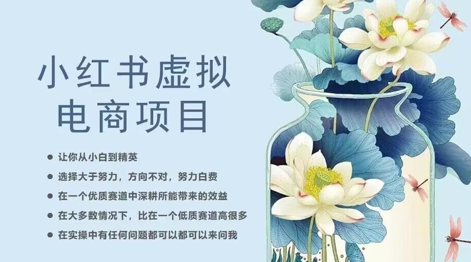小红书虚拟电商从0到1，让你从小白到精英（20节实操课程）-沐风资源库