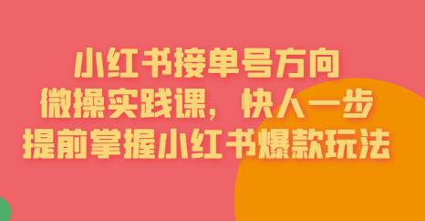 接单号方向·小红书微操实践课，快人一步，提前掌握小红书爆款玩法-沐风资源库