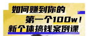 群响新个体‮钱搞‬案例库，可‮直以‬接抄作业的新‮体个‬搞钱案例库，如何赚到你的第一个100w-沐风资源库