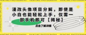 漫改头像项目分解，即使是小白也能轻松上手，仅需一部手机即可【揭秘】-沐风资源库