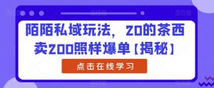 陌陌私域玩法，20的茶西卖200照样爆单【揭秘】-沐风资源库
