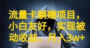 流量卡躺赚项目，小白友好，开设后台，实现被动收益，只要出卡，就能一直赚钱，利润高昂【揭秘】-沐风资源库