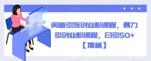 闲鱼引流创业粉课程，暴力引创业粉课程，日引50+【揭秘】-沐风资源库