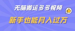 无脑搬运多多视频，新手也能月入过万【揭秘】-沐风资源库