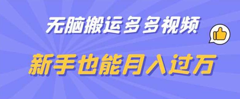 无脑搬运多多视频，新手也能月入过万【揭秘】-沐风资源库