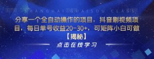 分享一个全自动操作的项目，抖音刷视频项目，每日单号收益20-30+，可矩阵小白可做【揭秘】-沐风资源库
