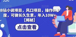 B站小说项目，风口项目，操作0难度，可做长久生意，年入10W+【揭秘】-沐风资源库
