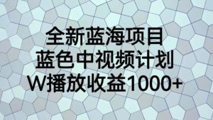 全新蓝海项目，蓝色中视频计划，1W播放量1000+【揭秘】-沐风资源库