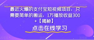 最近火爆的支付宝短视频项目，只需要简单的搬运，1万播放收益300+【揭秘】-沐风资源库