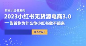 阿本小红书无货源电商3.0，告诉你为什么你小红书做不起来-沐风资源库