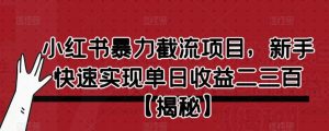 小红书暴力截流项目，新手快速实现单日收益二三百【仅揭秘】-沐风资源库