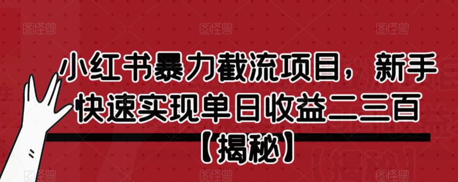 小红书暴力截流项目，新手快速实现单日收益二三百【仅揭秘】-沐风资源库