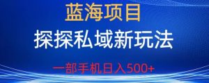 蓝海项目，探探私域新玩法，一部手机日入500+很轻松【揭秘】-沐风资源库