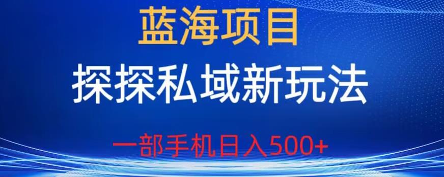 蓝海项目，探探私域新玩法，一部手机日入500+很轻松【揭秘】-沐风资源库