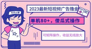 2023最新玩法短视频广告撸金，亲测单机收益80+，可矩阵，傻瓜式操作，小白可上手【揭秘】-沐风资源库