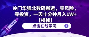冷门华强北数码搬运，零风险，零投资，一天十分钟月入1W+【揭秘】-沐风资源库