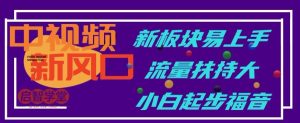 中视频新风口，新板块易上手，流量扶持大，小白起步福音【揭秘】-沐风资源库