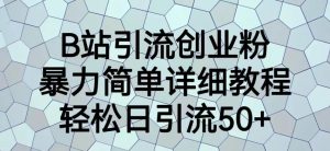 B站引流创业粉，暴力简单详细教程，轻松日引流50+【揭秘】-沐风资源库