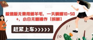 极速版无费用薅羊毛，一天躺赚10-50+，小白无脑操作【拆解】-沐风资源库