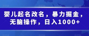 婴儿起名改名，暴力掘金，无脑操作，日入1000+【揭秘】-沐风资源库