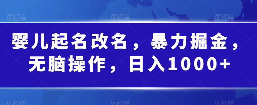 婴儿起名改名，暴力掘金，无脑操作，日入1000+【揭秘】-沐风资源库