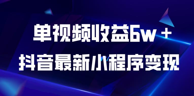 抖音最新小程序变现项目，单视频收益6w＋，小白可做【揭秘】-沐风资源库