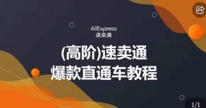高阶速卖通直通车视频教程，教你正确解锁直通车，拒绝无效烧钱-沐风资源库